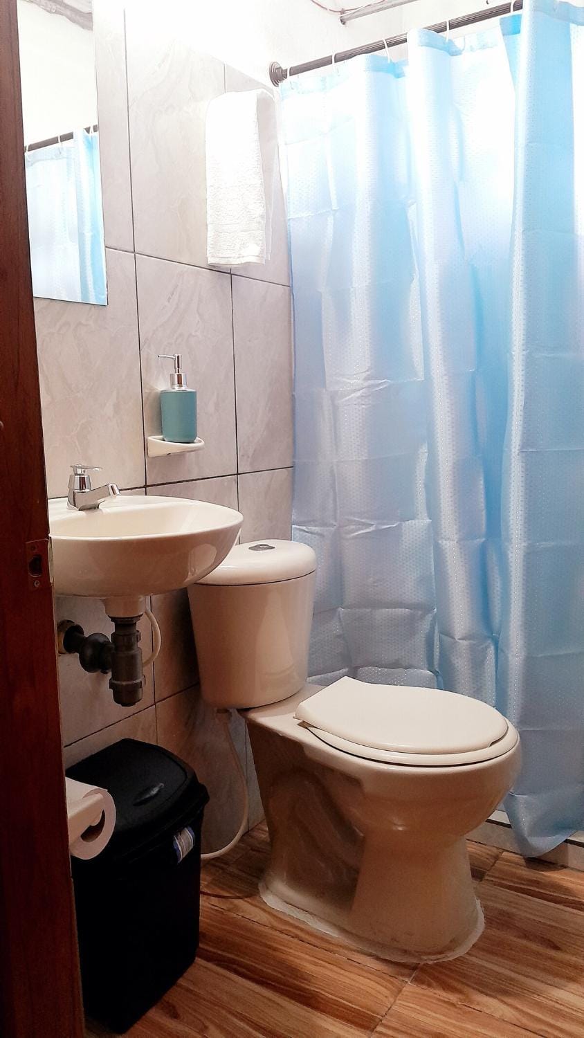 Shower, Toilet, Bathroom