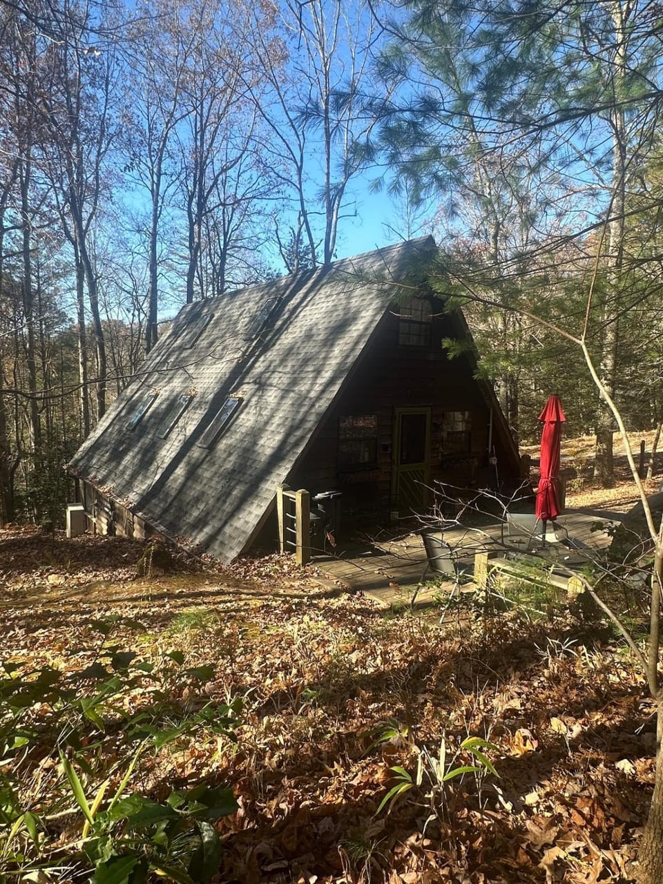 Bearly Behavin Chalet in Georgia