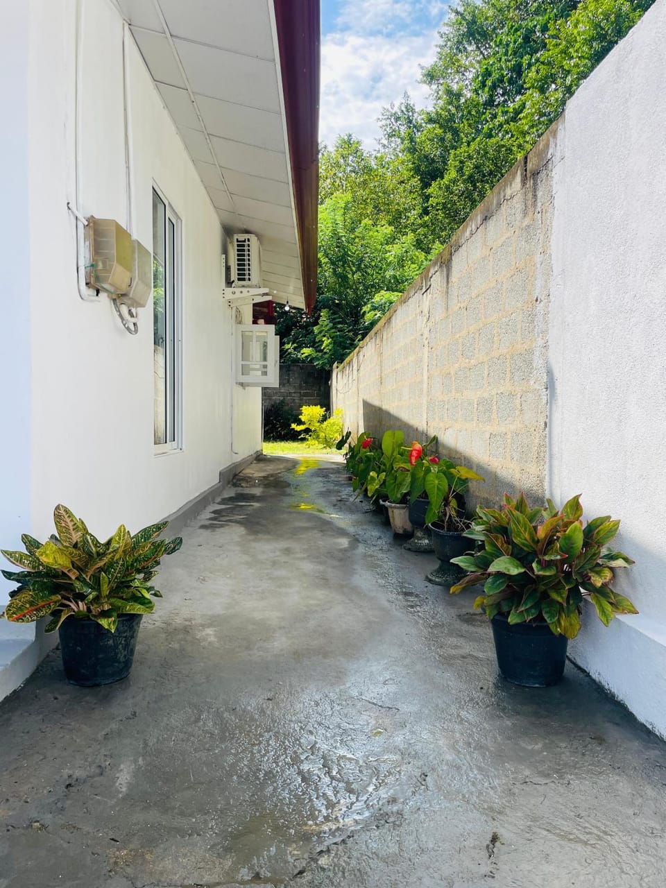 Property building, Day, Garden, Garden view