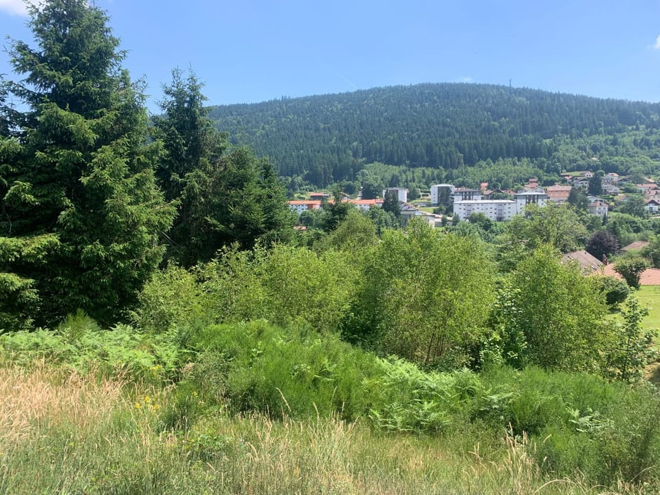 Property building, Day, Mountain view