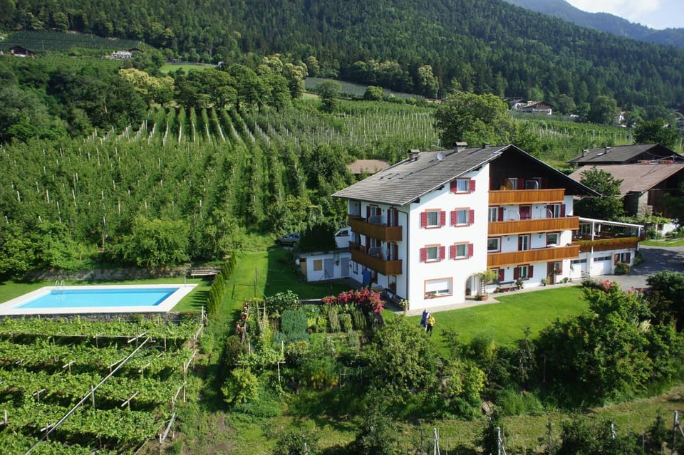 Property building, Natural landscape, Garden, Garden view, Pool view, Swimming pool