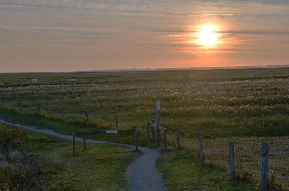 Seemöwe am Naturstrand Apartment in Lower Saxony, Germany