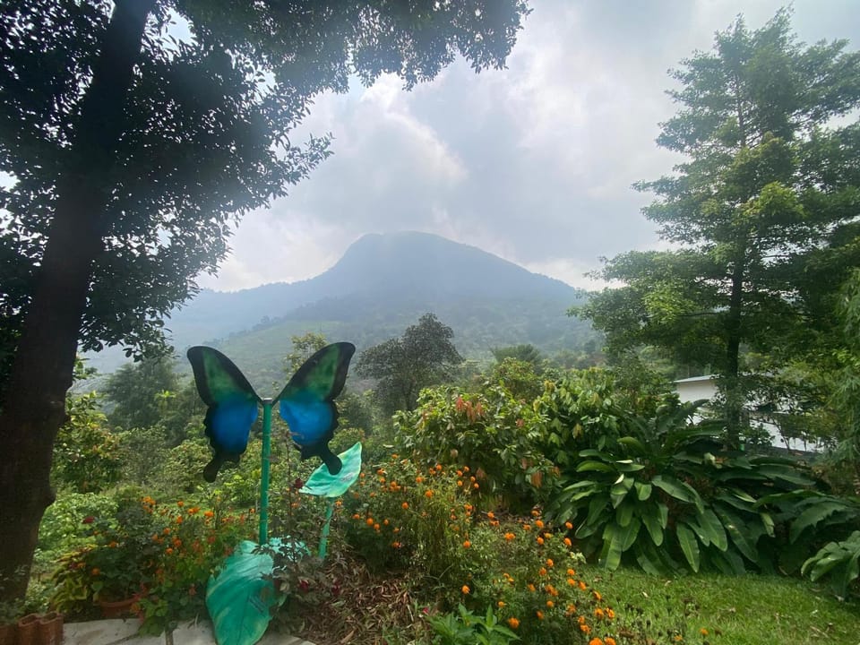 Soul Mountain Vacation rental in Kerala