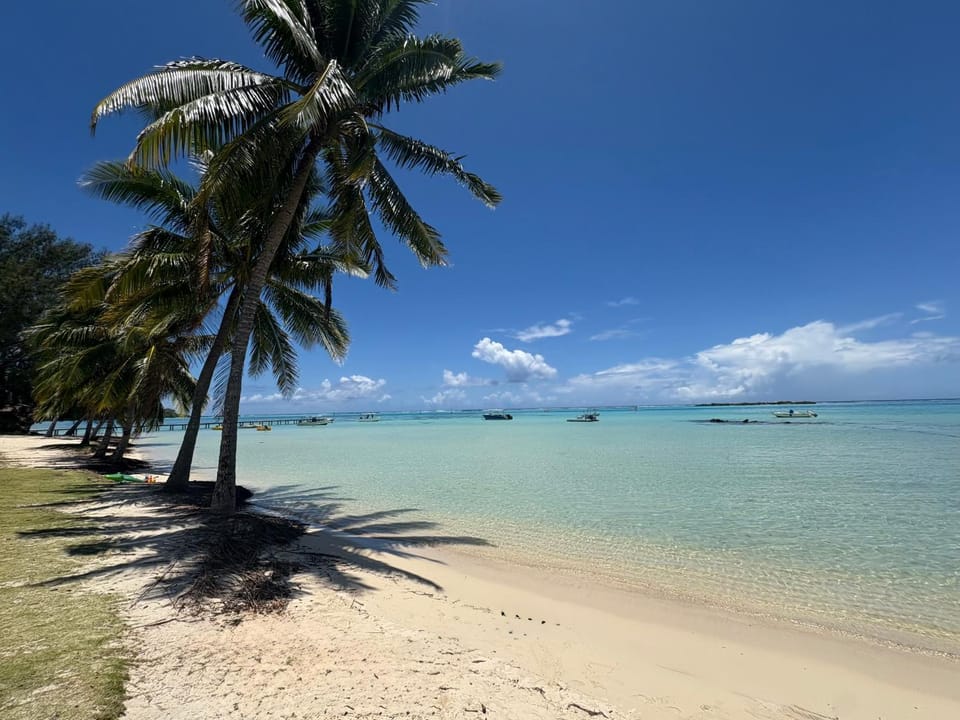 Bungalow Moe Moe Moea by ENJOY VILLAS House in Moorea-Maiao