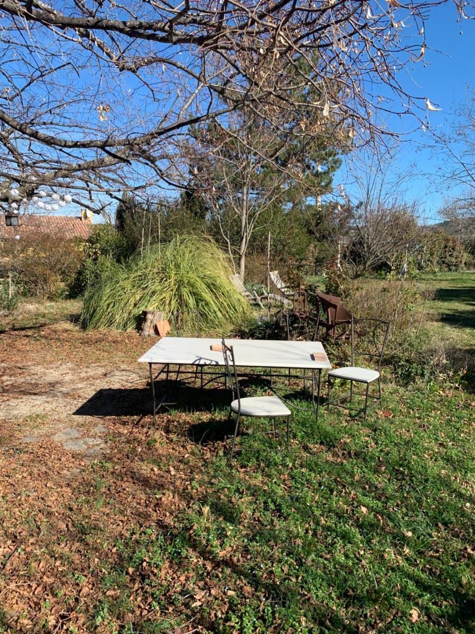Spring, Day, Garden, Garden view
