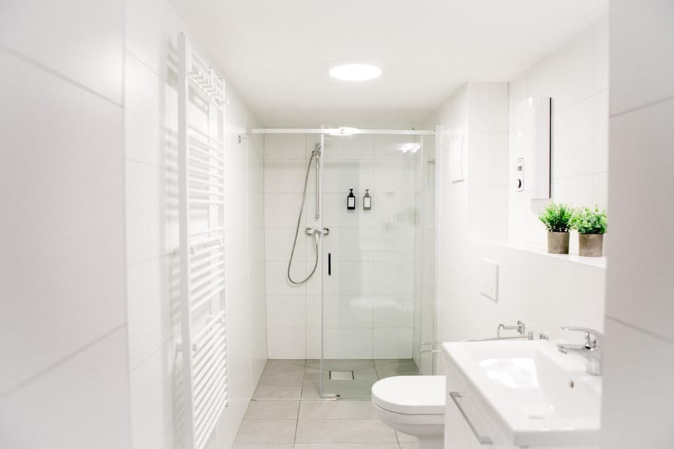 Shower, Toilet, Bathroom, towels