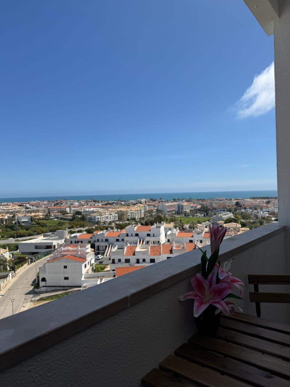 Natural landscape, View (from property/room), Balcony/Terrace, City view, Sea view