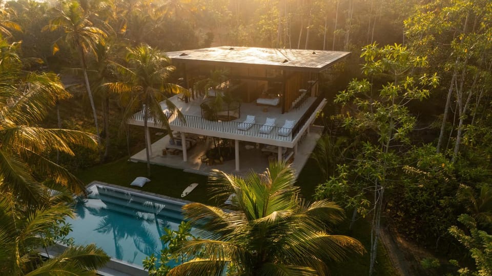 Garden, Pool view, Swimming pool