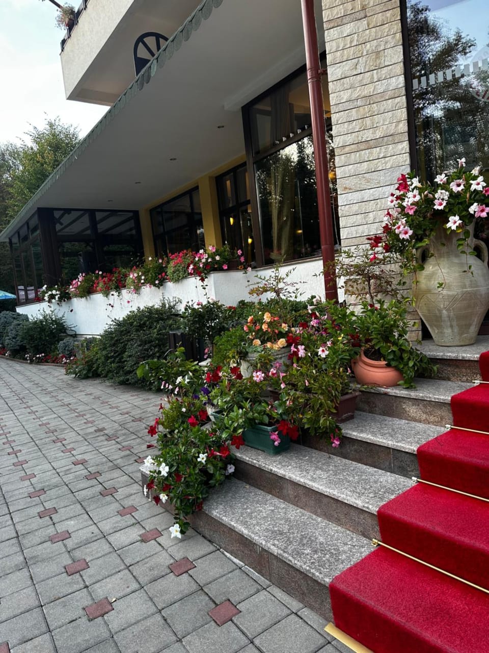 Pensiunea Iulia Star Bed and Breakfast in Romania