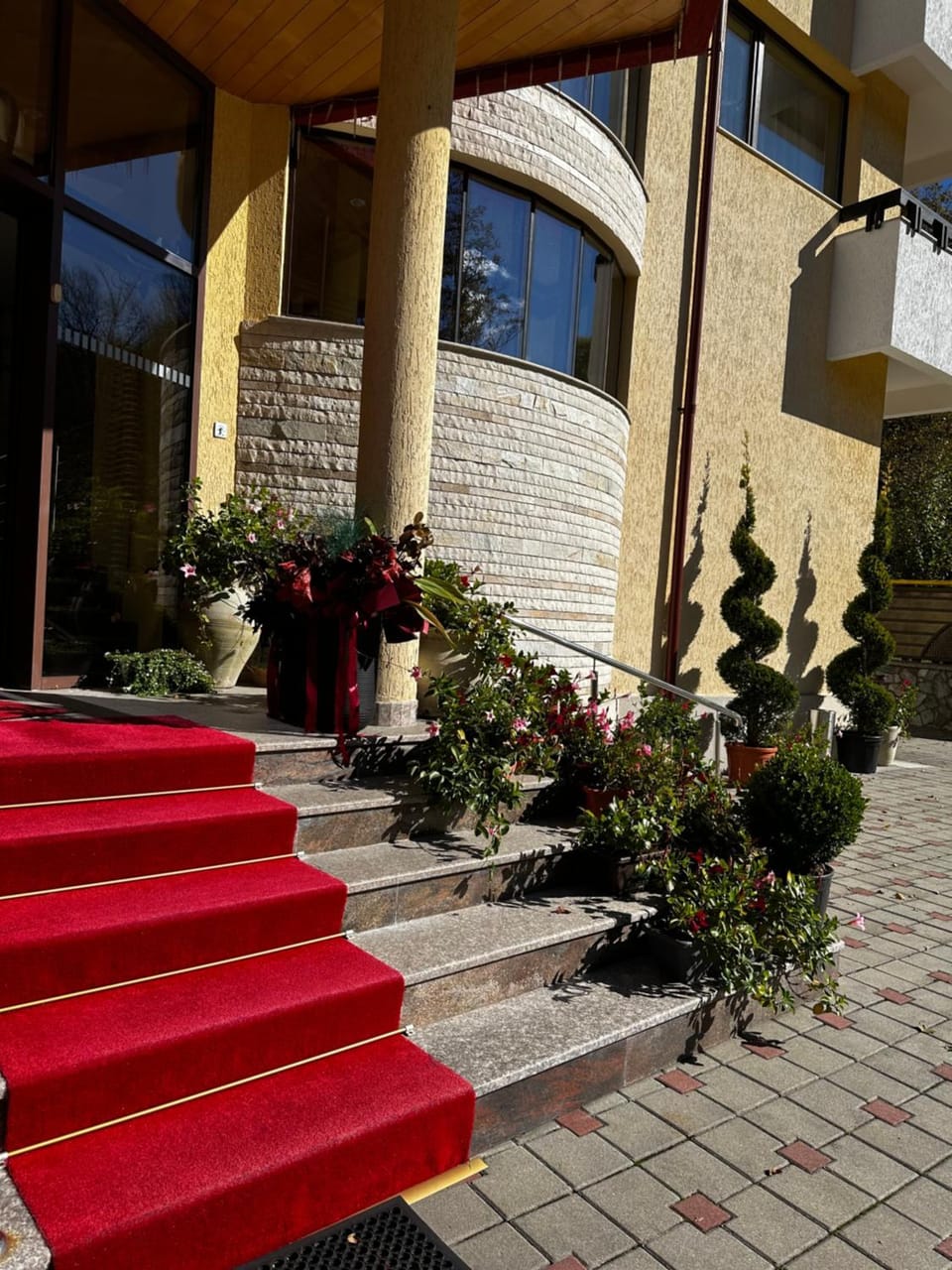 Pensiunea Iulia Star Bed and Breakfast in Romania