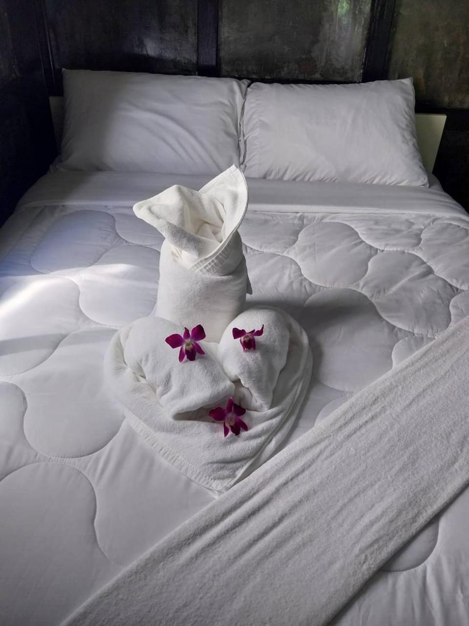 Water Lily Spa Bungalows by Rawai Beach Apartment in Rawai
