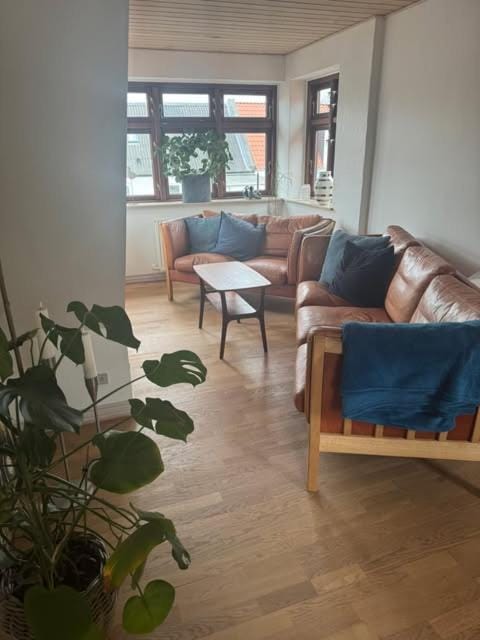 Svane's Air-bnb Vacation rental in Central Denmark Region