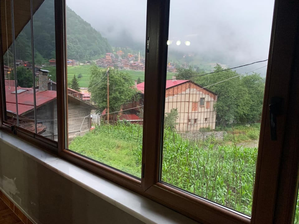 Balcony/Terrace, Garden view