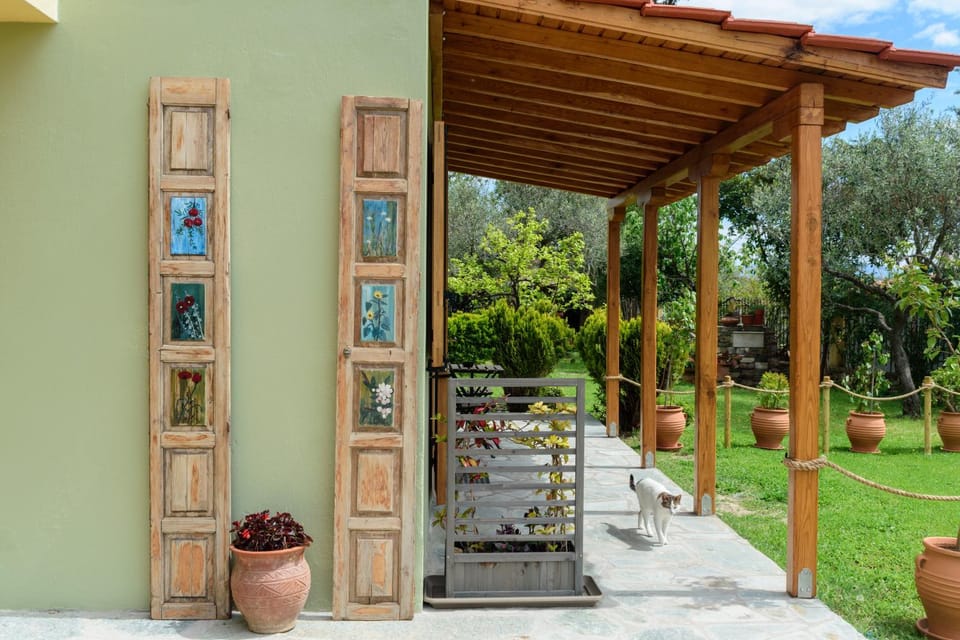 Patio, Spring, Garden, Garden view