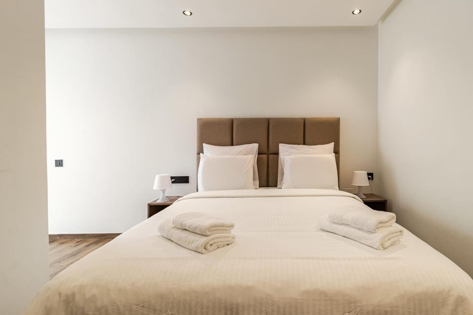 Washingtonia Palm - Casablanca Center Apartment in Casablanca