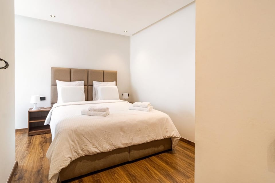 Washingtonia Palm - Casablanca Center Apartment in Casablanca