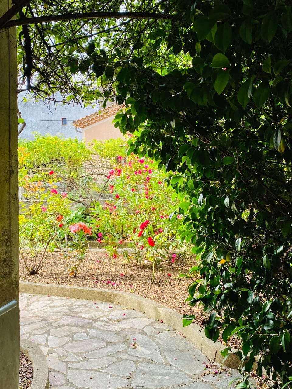 Spring, Day, Garden