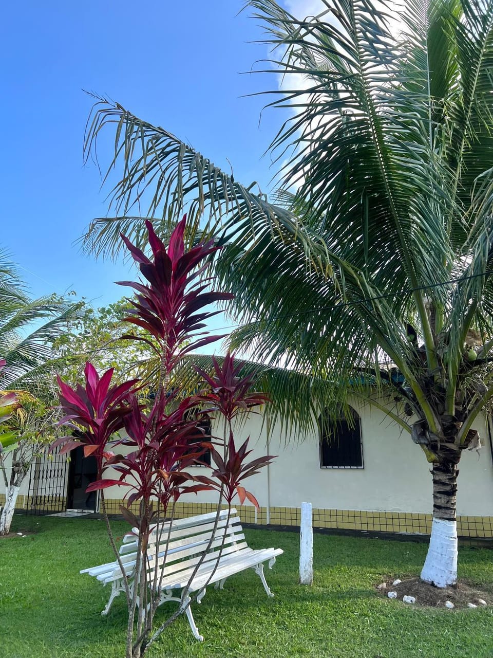 Canto do Mato House in State of Bahia