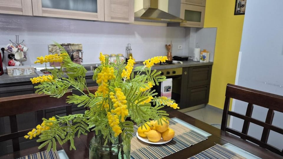 Mimosa Oasis Apartment in Vlorë