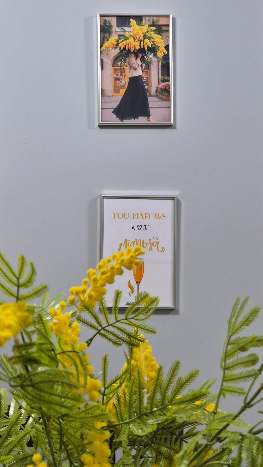 Mimosa Oasis Apartment in Vlorë