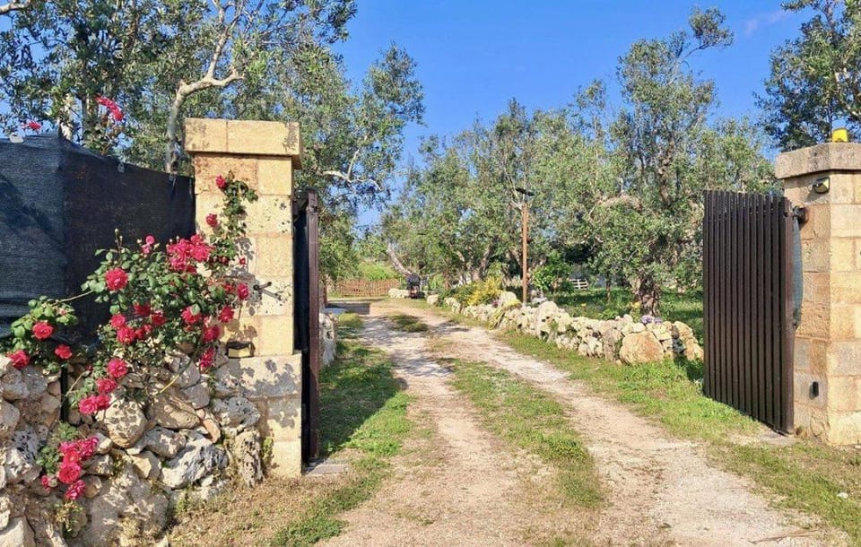Natural landscape, Garden, Garden view