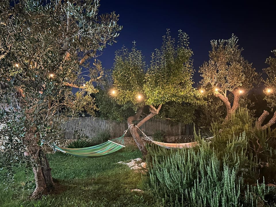 Night, Natural landscape, Garden view