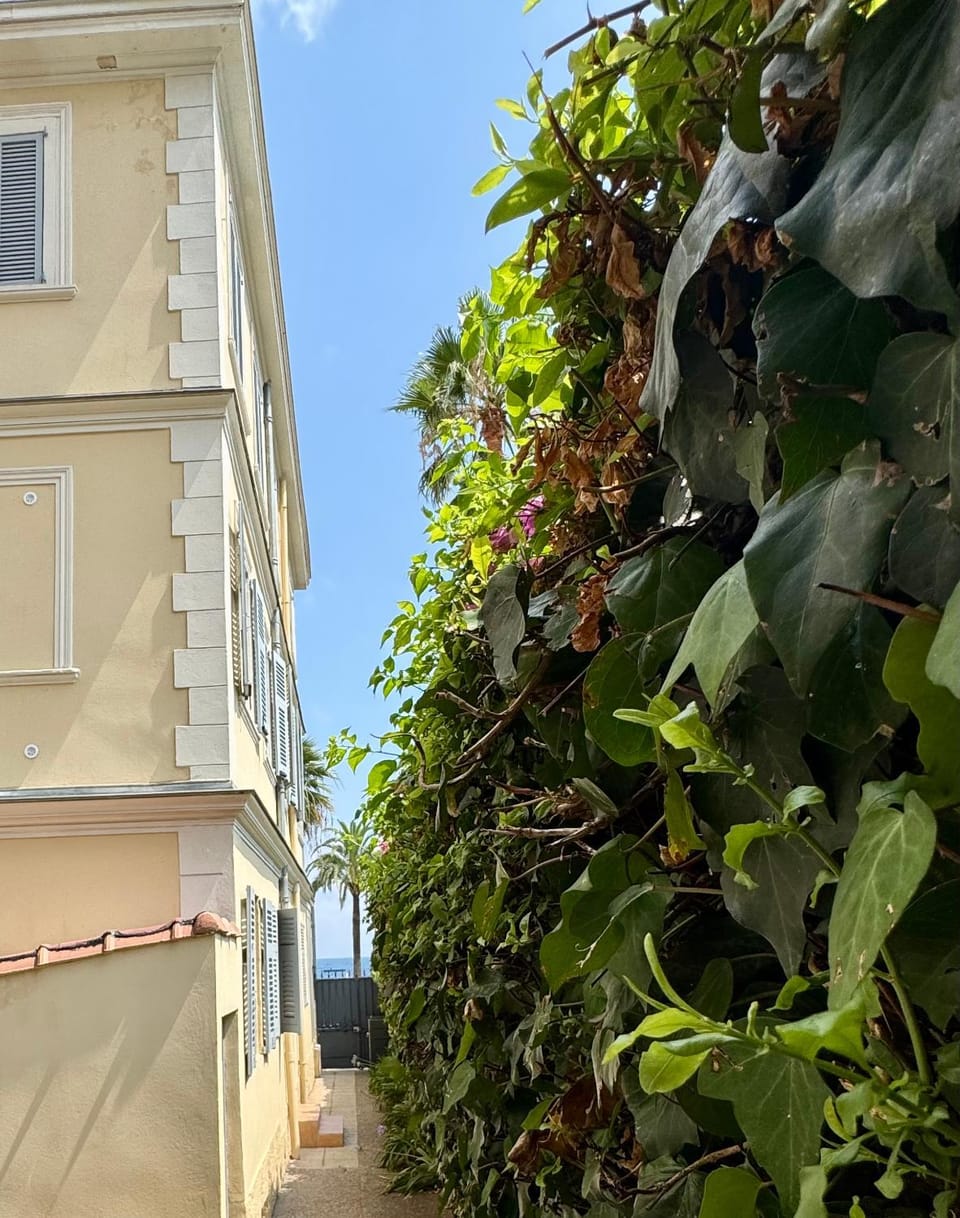 Cozy studio sur la promenade Apartment in Nice