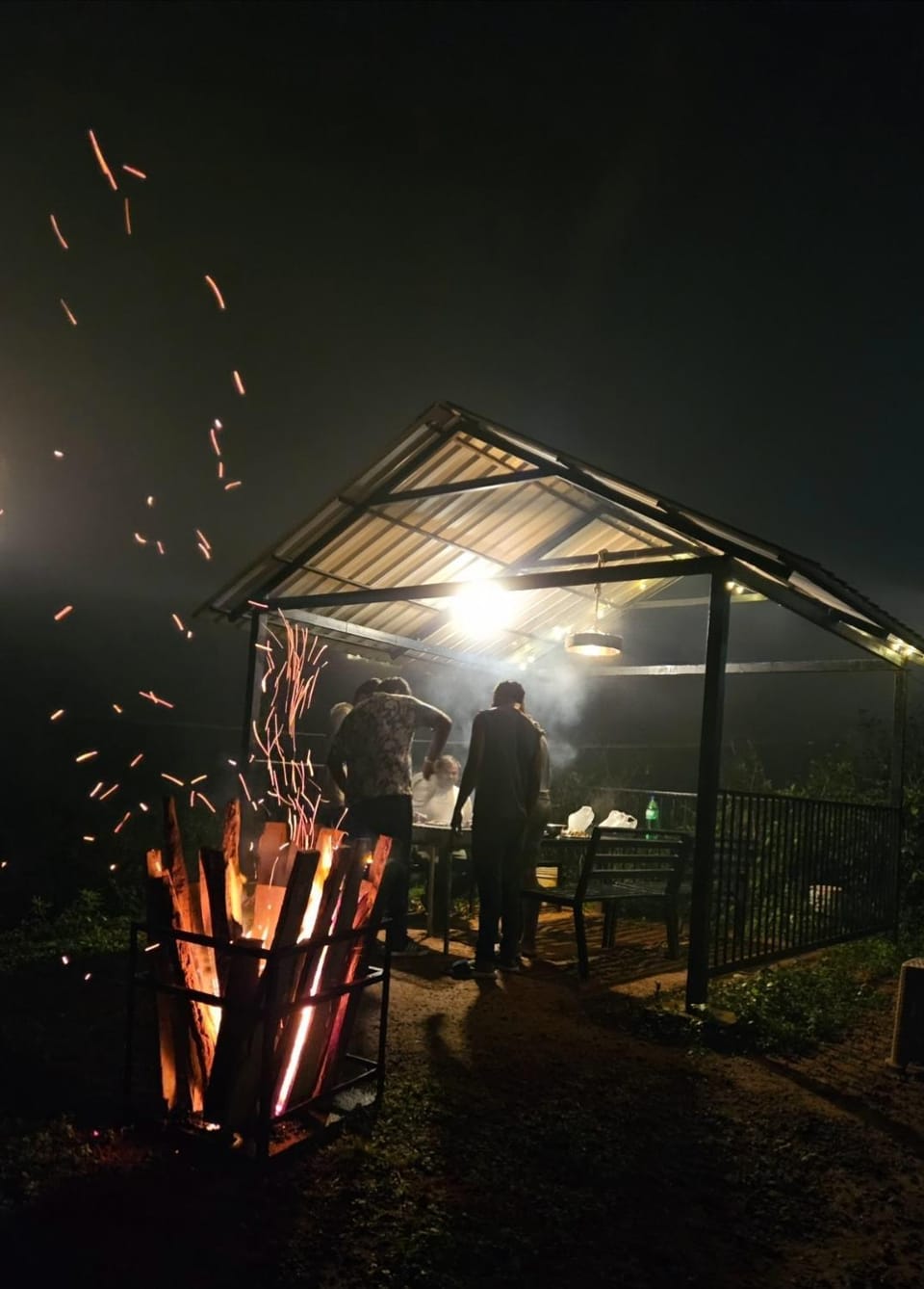 Night, People, BBQ facilities, group of guests