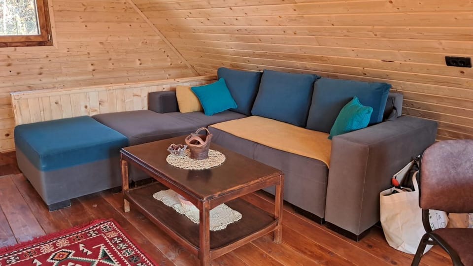 Brvnara Topilo House in Serbia