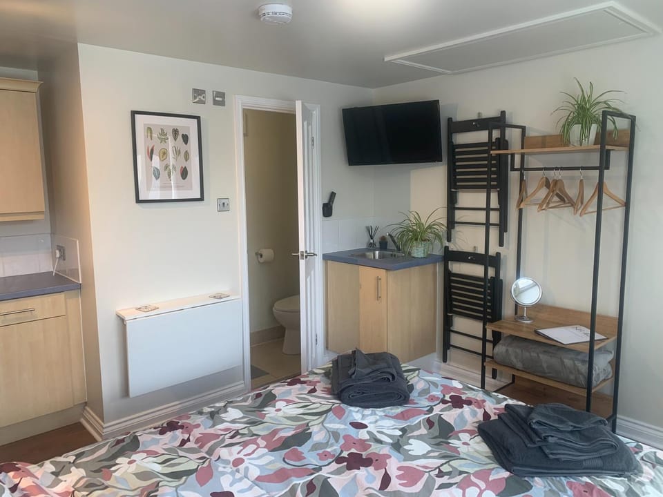 Shower, Toilet, Bed, TV and multimedia, Bedroom, Area and facilities