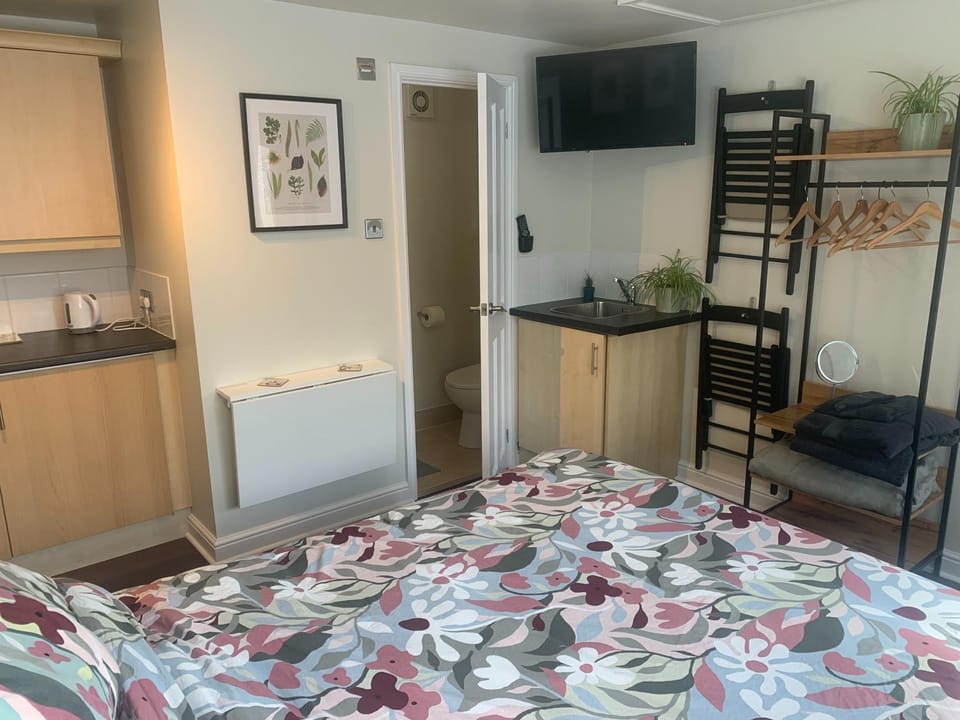 Shower, Toilet, Bed, TV and multimedia, Bedroom