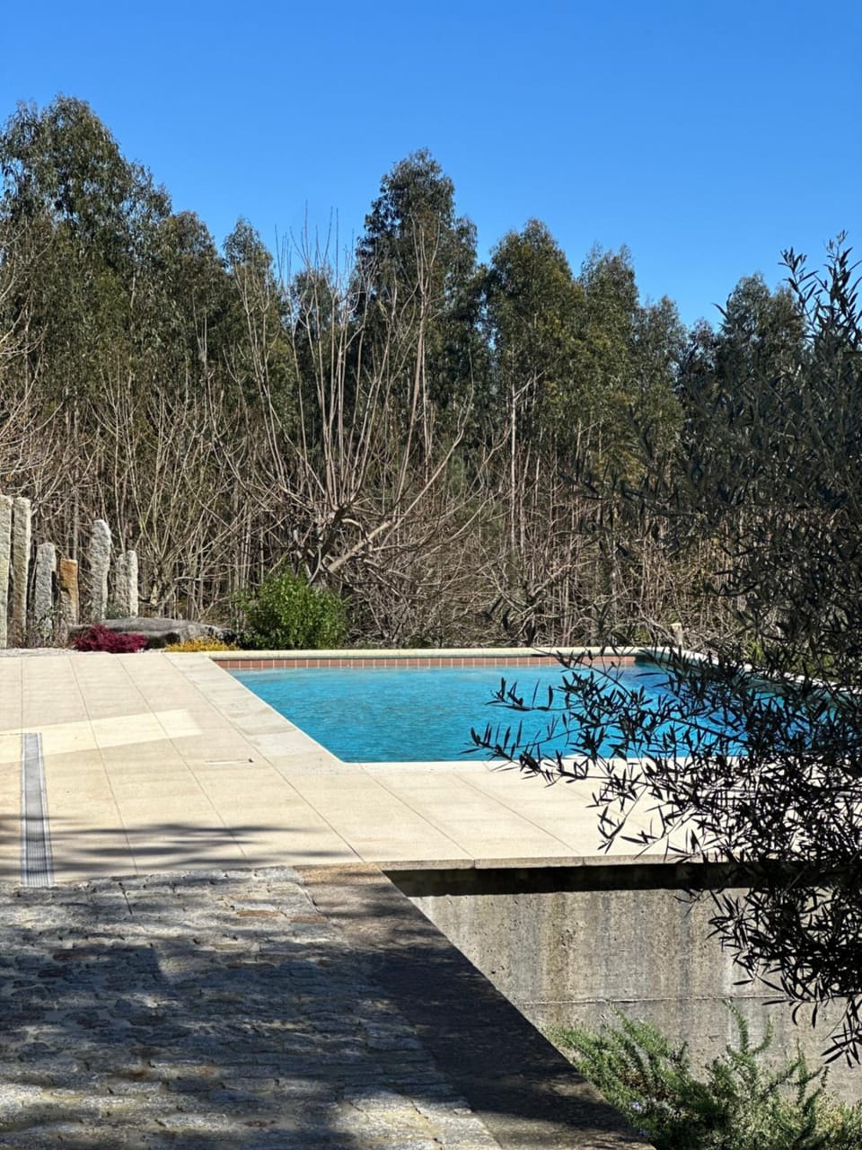 Pool view, Swimming pool