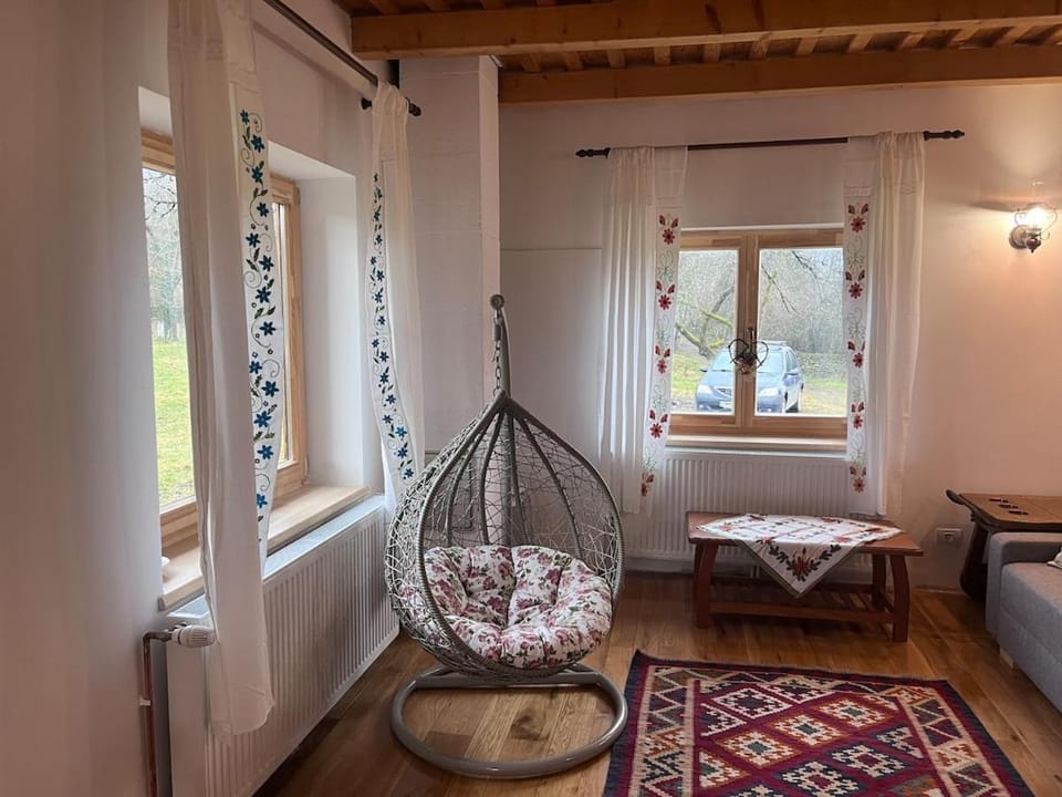 Casa Bunica - Vila Rustică cu Prispă Experiență Românească Autentică lângă Pârâu în Natura Loc Joaca Copii Oaza de Liniște Chalet in Timiș County