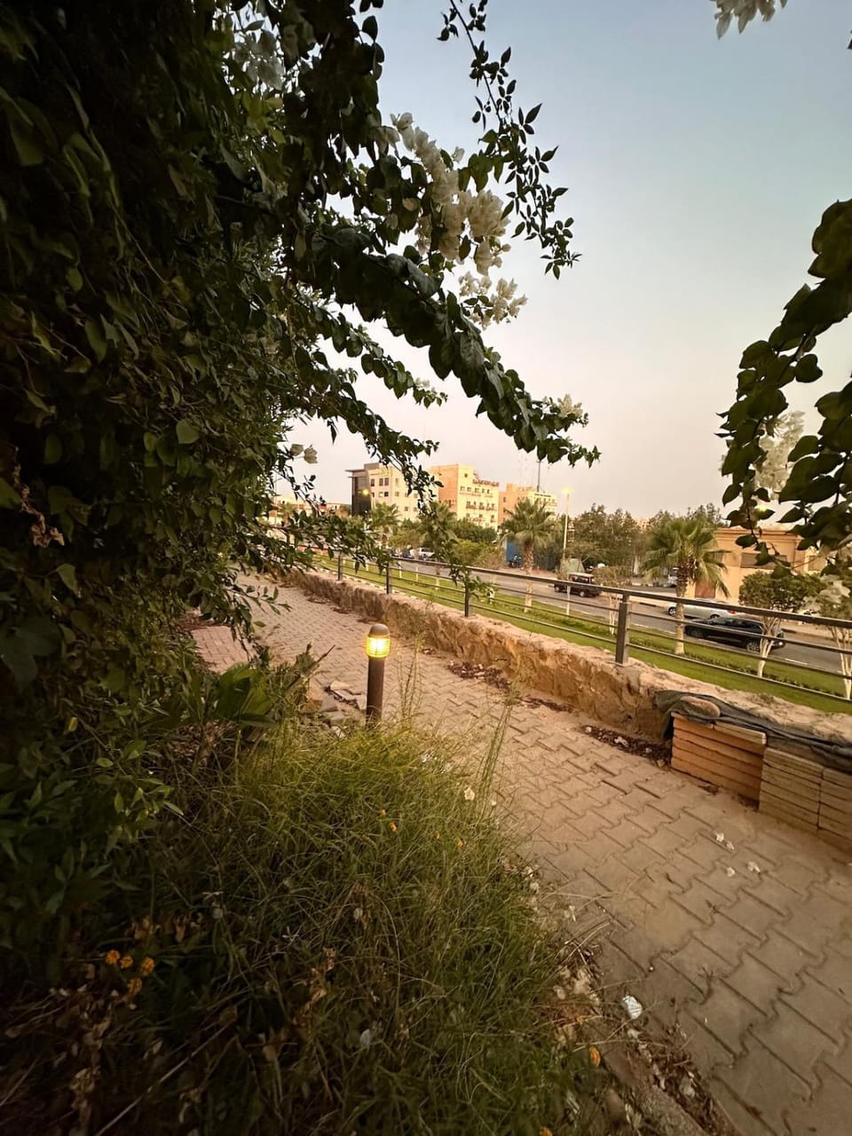 Villa Rose Villa in Egypt
