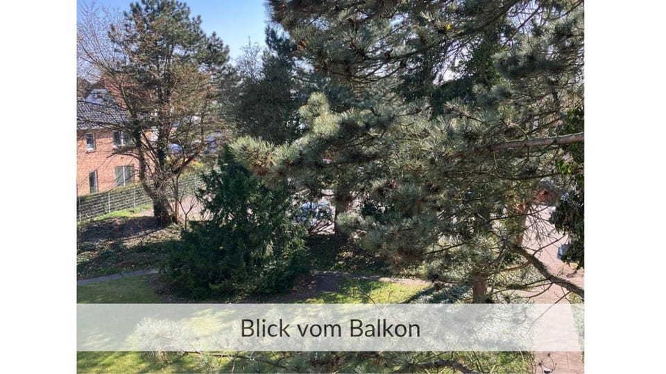 Day, Garden view