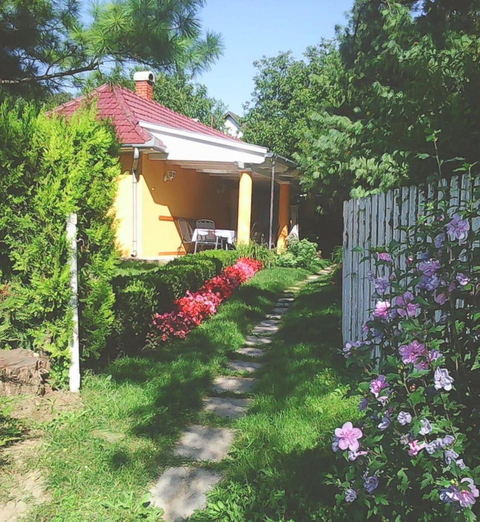 Property building, Garden view
