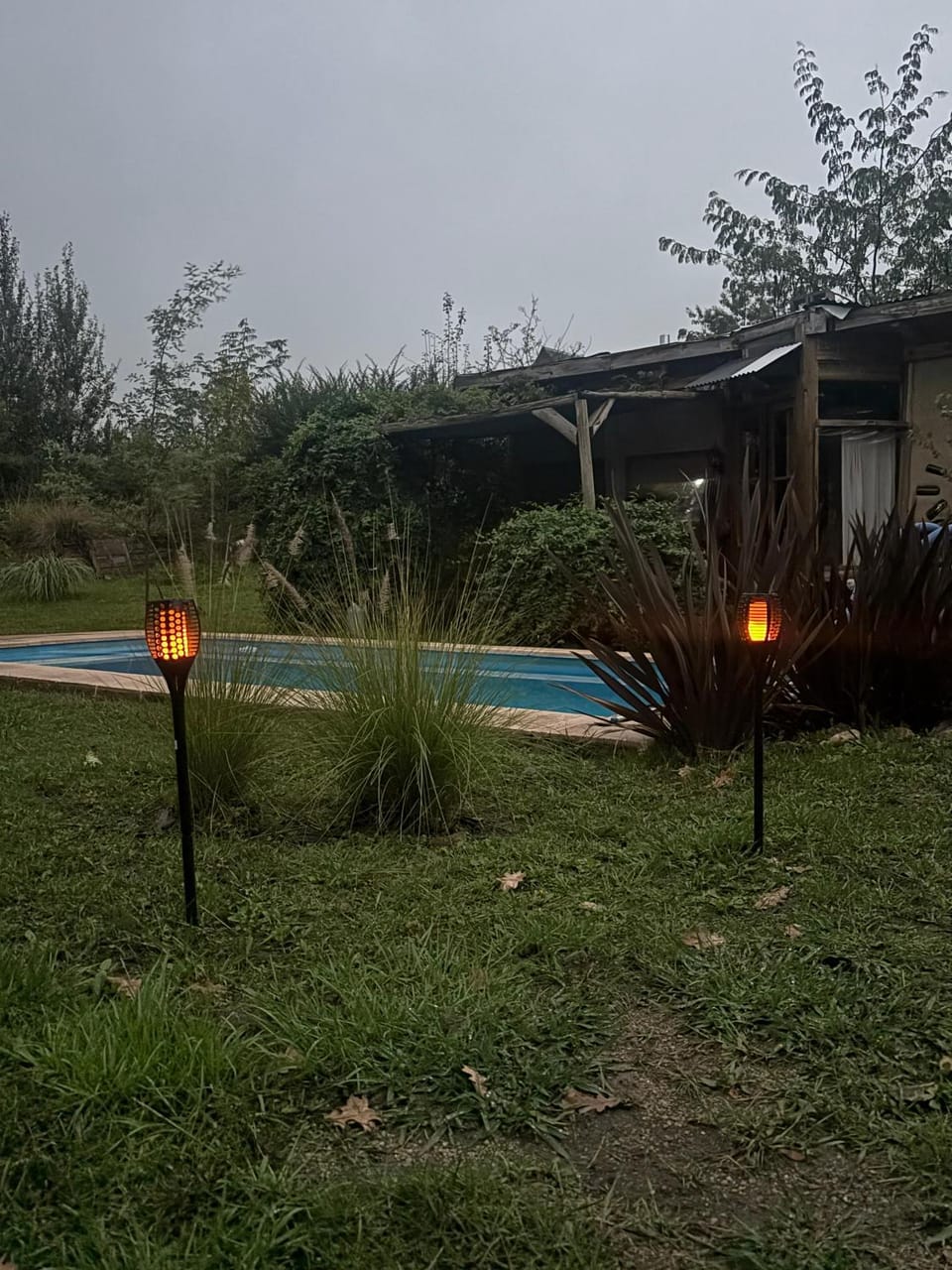 Garden view, Swimming pool
