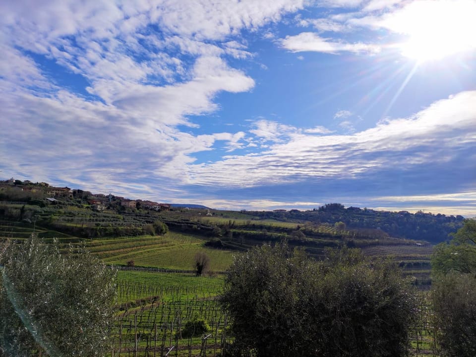 Natural landscape