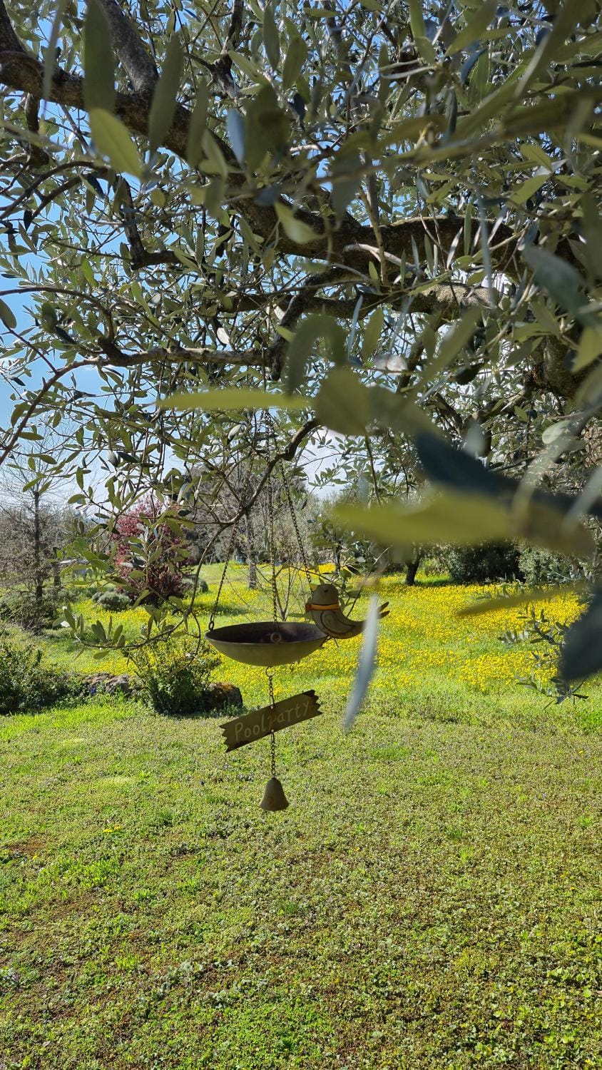Spring
