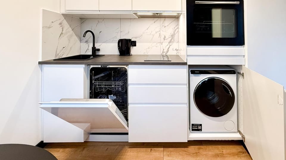 Kitchen or kitchenette, dishwasher, washing machine