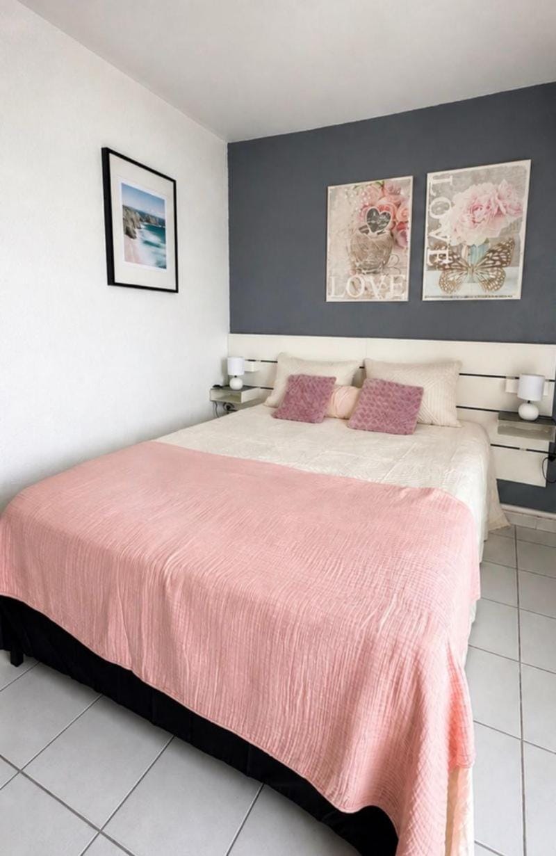 Face mer, grand studio de 32m2, clim, wifi, parking, proche commerces Apartment in Saint-Cyprien