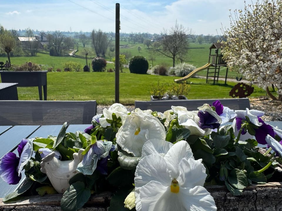 Country house Au Ballet des Hirondelles House in Wallonia, Belgium