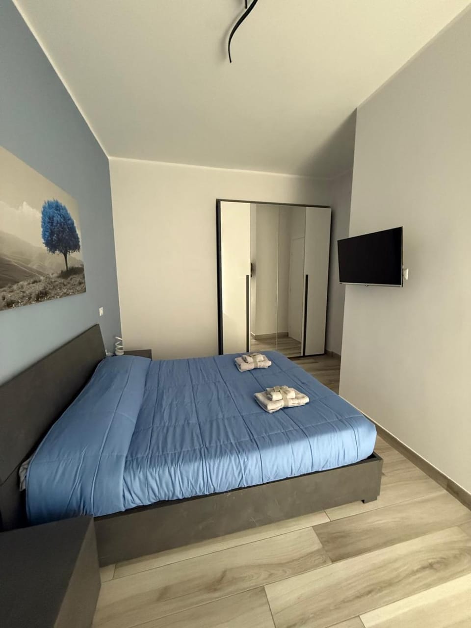 Bed, Photo of the whole room