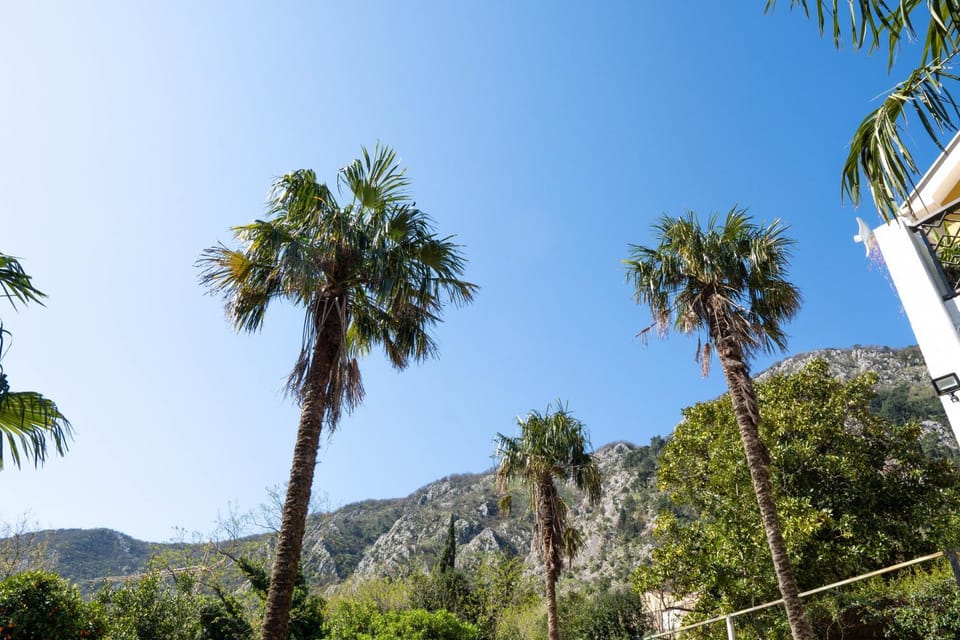 Natural landscape, Mountain view