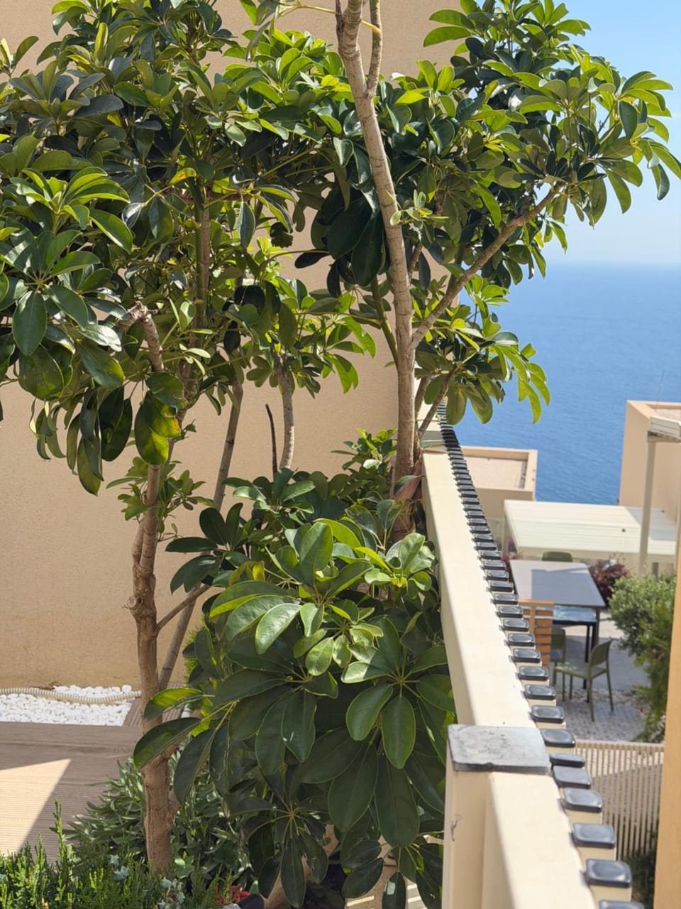 Green Coast Escape House in Vlorë County, Albania