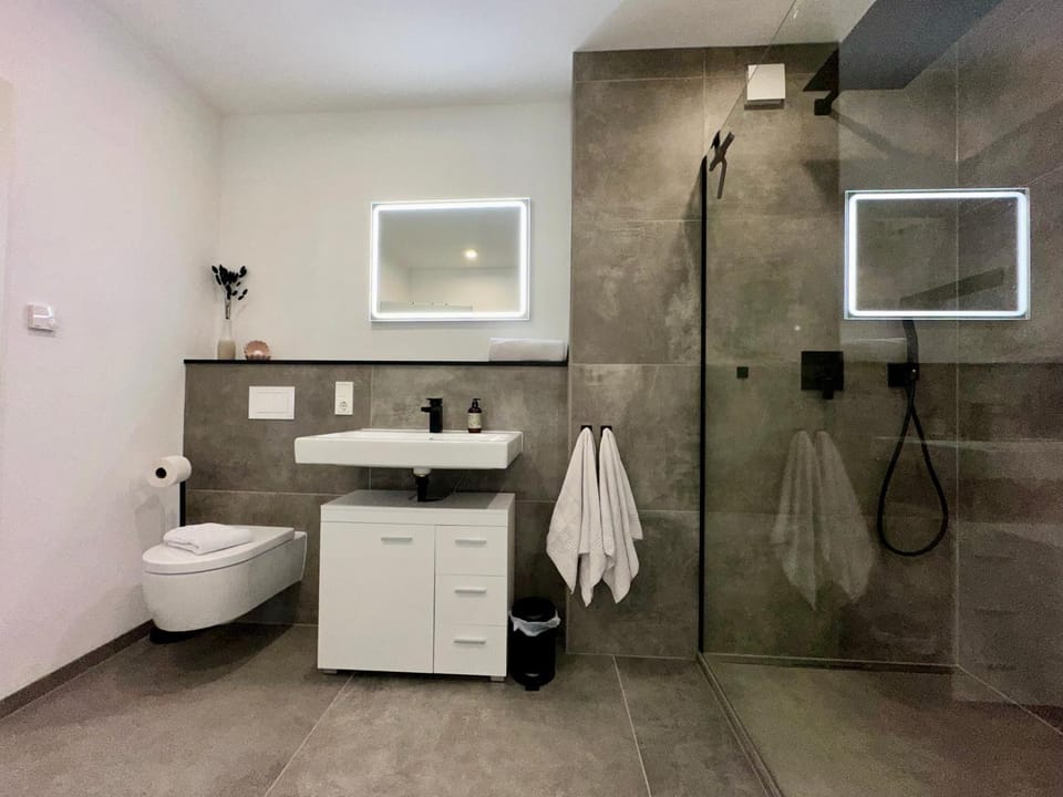 Shower, Toilet, Bathroom, towels
