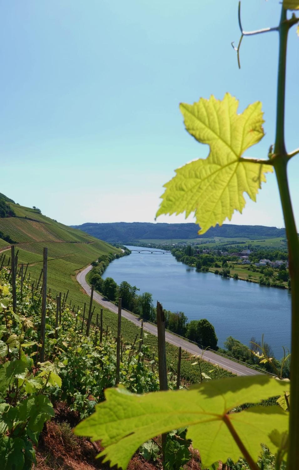 Nearby landmark, Natural landscape, River view