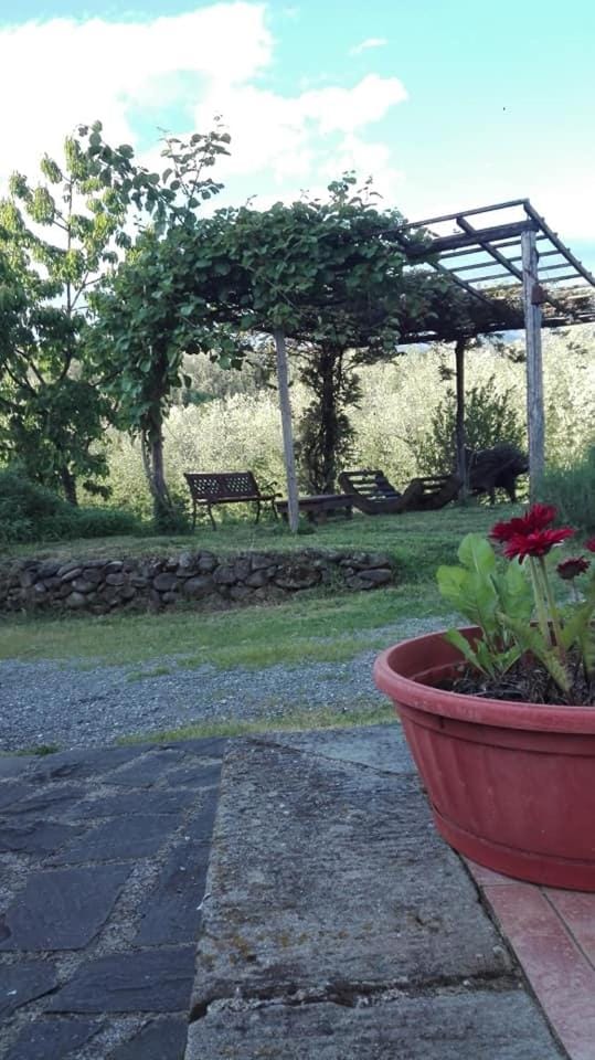Casa Vacanza Locanda di Campagna Bed and Breakfast in Province of Massa and Carrara