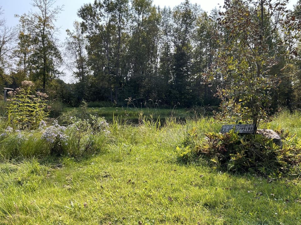 Natural landscape