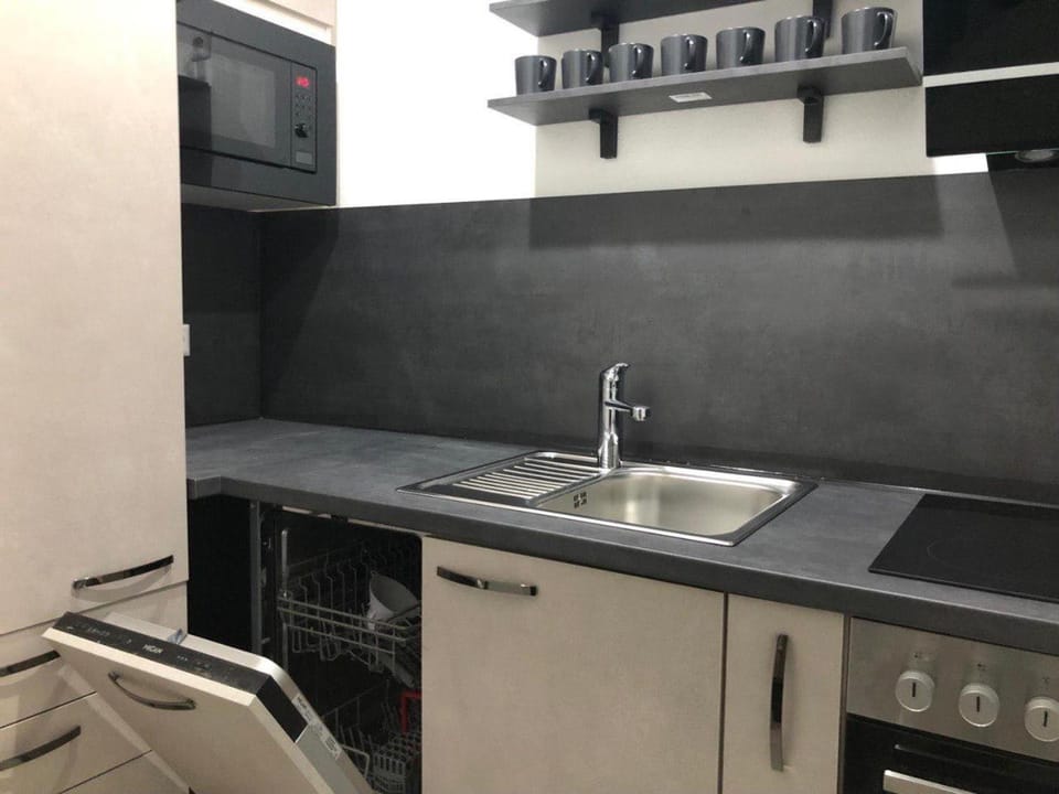 Kitchen or kitchenette, dishwasher